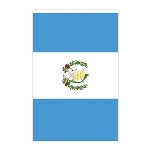 Custom <strong>Guatemala</strong> 10 Meters Bunting 30 Flags Guatemalan Rectangle Triangle String Flags for Election Events - Product Image 2