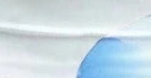 Stampa Floreale Blu