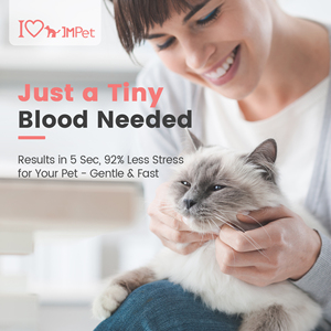 उच्च गुणवत्ता वाले कुत्ते बिल्ली रक्त ग्लूकोज मीटर निगरानी पालतू रक्त ग्लूकोज निगरानी प्रणाली - Product Image 5