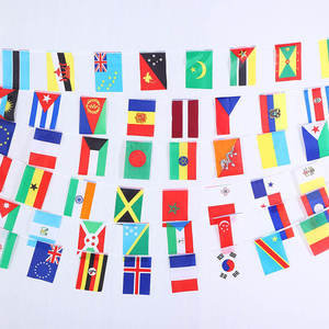 Huiyi Promotional Mass Custom Flag 100% Polyester Zambian Republican Election String Flags - Product Image 2