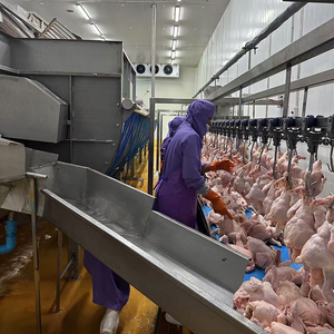 สายพานลำเลียงสำหรับหั่นเนื้อแกะเนื้อหมูไก่สำหรับหั่นเนื้อวัว - Product Image 3