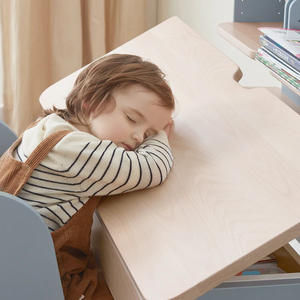 <span class=keywords><strong>2025</strong></span> Novo Desgin Home Office Escrita Uso Computador Estudante Laptop Estudo Mesa Mesa e Cadeira Conjunto Com Estante De Armazenamento