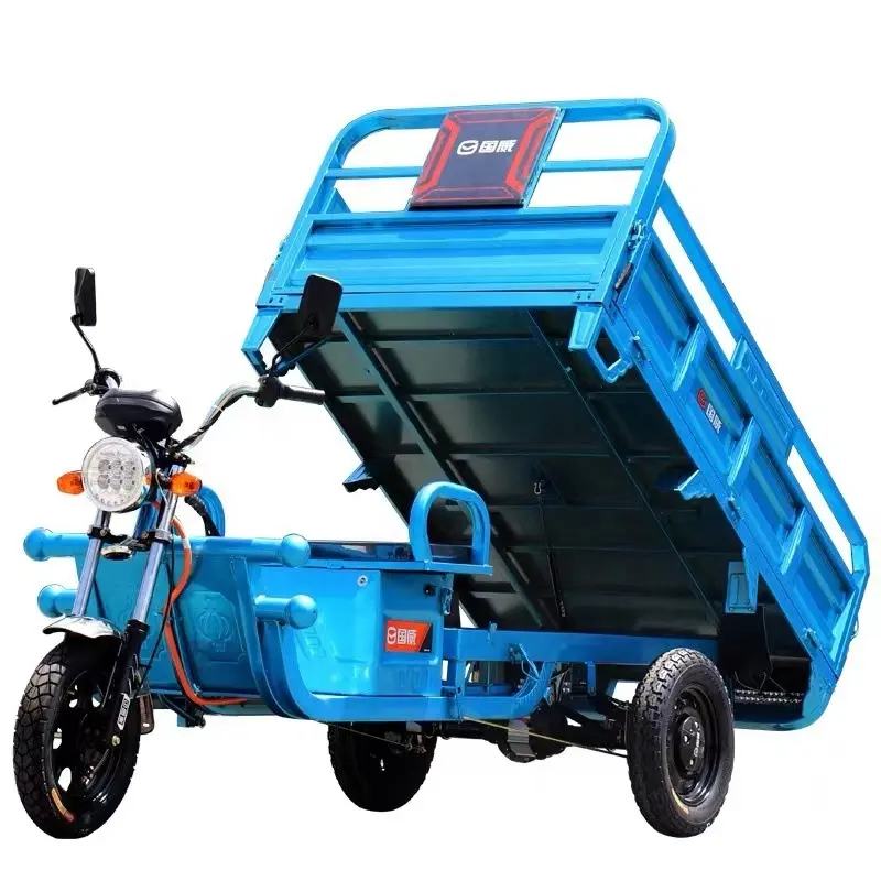 Eaynon Tailg Cargo Triciclo Eléctrico 3 Tres Ruedas Scooter Trade Triciclos motocicleta Para Adultos