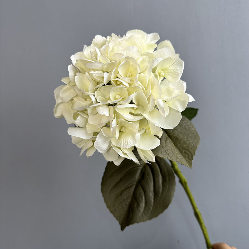 Creamy white