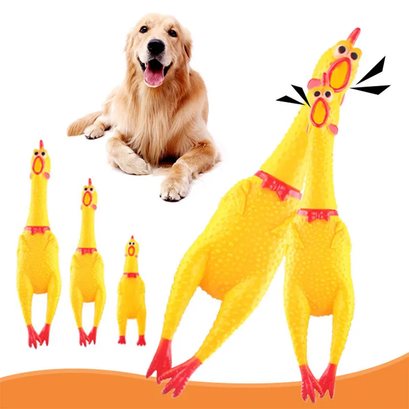 Moda evcil köpek Squeak oyuncaklar çığlık tavuk Squeeze ses oyuncak süper dayanıklı komik sarı kauçuk tavuk köpek çiğnemek oyuncak