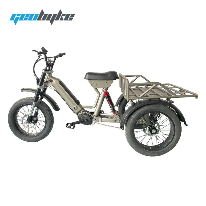 48V 250W/500W Cargo Bike mit Hinterrad aufhängung für Erwachsene Elektro Dreirad Cargo Electric Bike