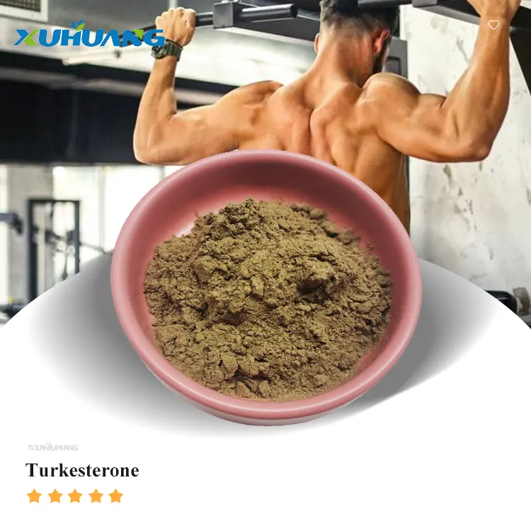 המחירים הטובים ביותר Ajuga Turkestanica תמצית Turkesterone