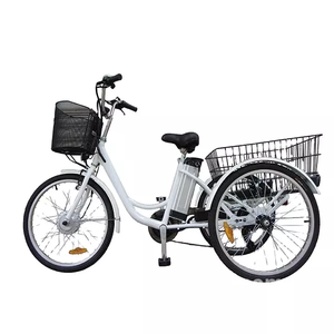 รถสามล้อไฟฟ้า250W ETrike - Product Image 6