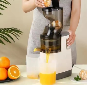 ジューサー大径全自動ジューサー抽出機フルーツジューサーマシンEU/米国/英国 - Product Image 5
