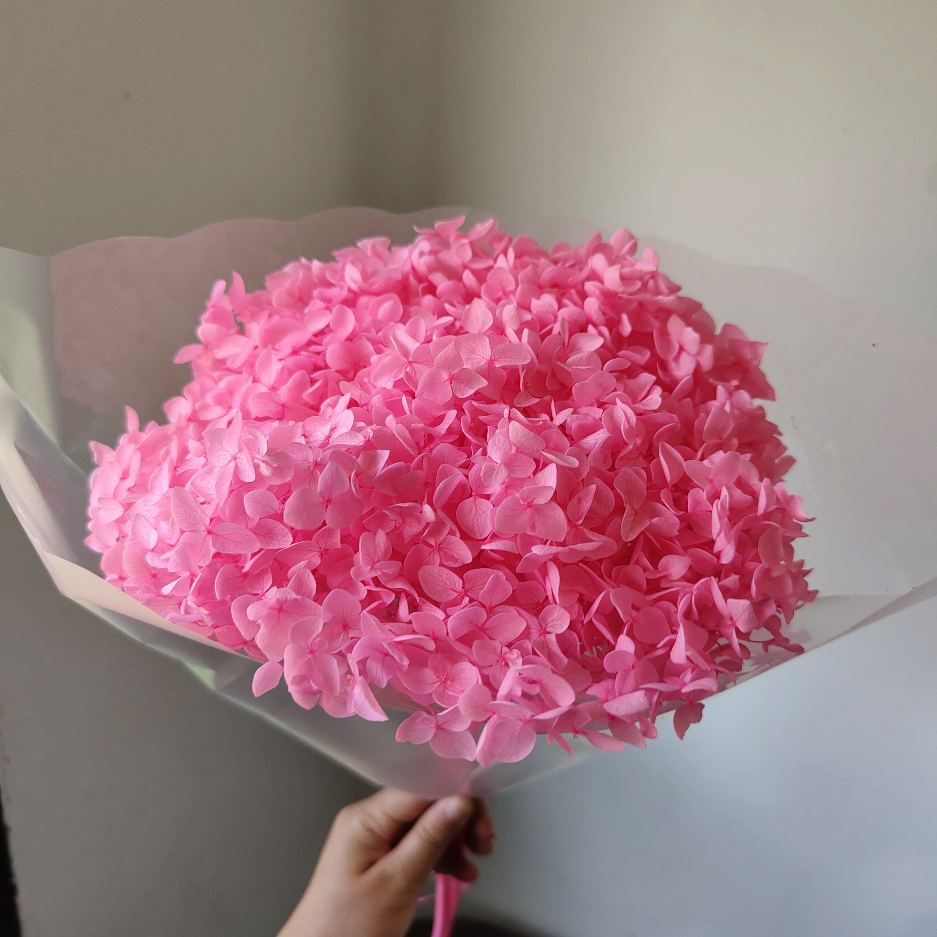 rose foncé brillant