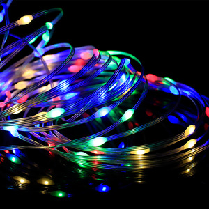 SPI <strong>DMX</strong> Christmas Pixel <strong>Led</strong> <strong>String</strong> Lights Waterproof LP67 12V RGB Christmas Decorative <strong>Led</strong> <strong>String</strong> Lights - Product Image 3