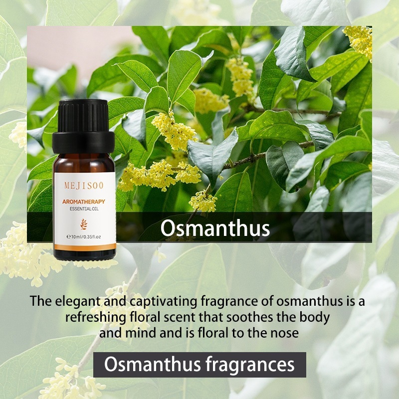 Osmanthus