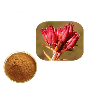 خلاصة الروديولا الوردية من xiيو بكميات كبيرة عضوي خلاصة جذور الروديولا الوردية الطبيعية - Product Image 2