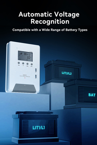 48V 60A pannello solare MPPT regolatore ibrido PWM con Lifep04 batteria al litio allagata AGM Gel regolatore di carica - Product Image 5