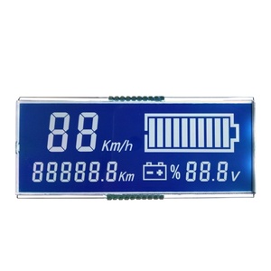 BaoLaiYa werkseitig kunden spezifisches 7-Segment-TN HTN VA STN FSTN LCD-Display für PH-Messgerät - Product Image 1