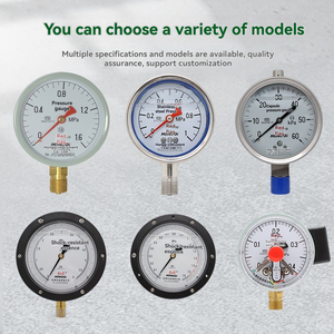 Vendas Diretas do Fabricante <span class=keywords><strong>YTN</strong></span>-<span class=keywords><strong>100Z</strong></span> Radial Band Edge Water <span class=keywords><strong>Pressure</strong></span> <span class=keywords><strong>Gauge</strong></span> Bandeira Vermelha Marca Instrumento <span class=keywords><strong>Pressure</strong></span> <span class=keywords><strong>Gauge</strong></span> - Product Image 5