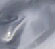 Argento