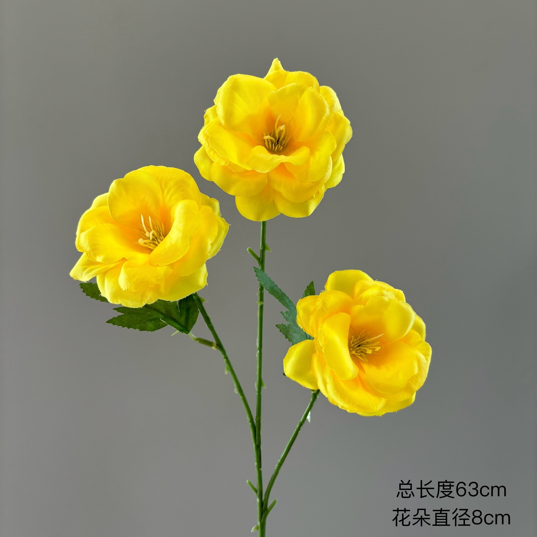 3 roses fraîches