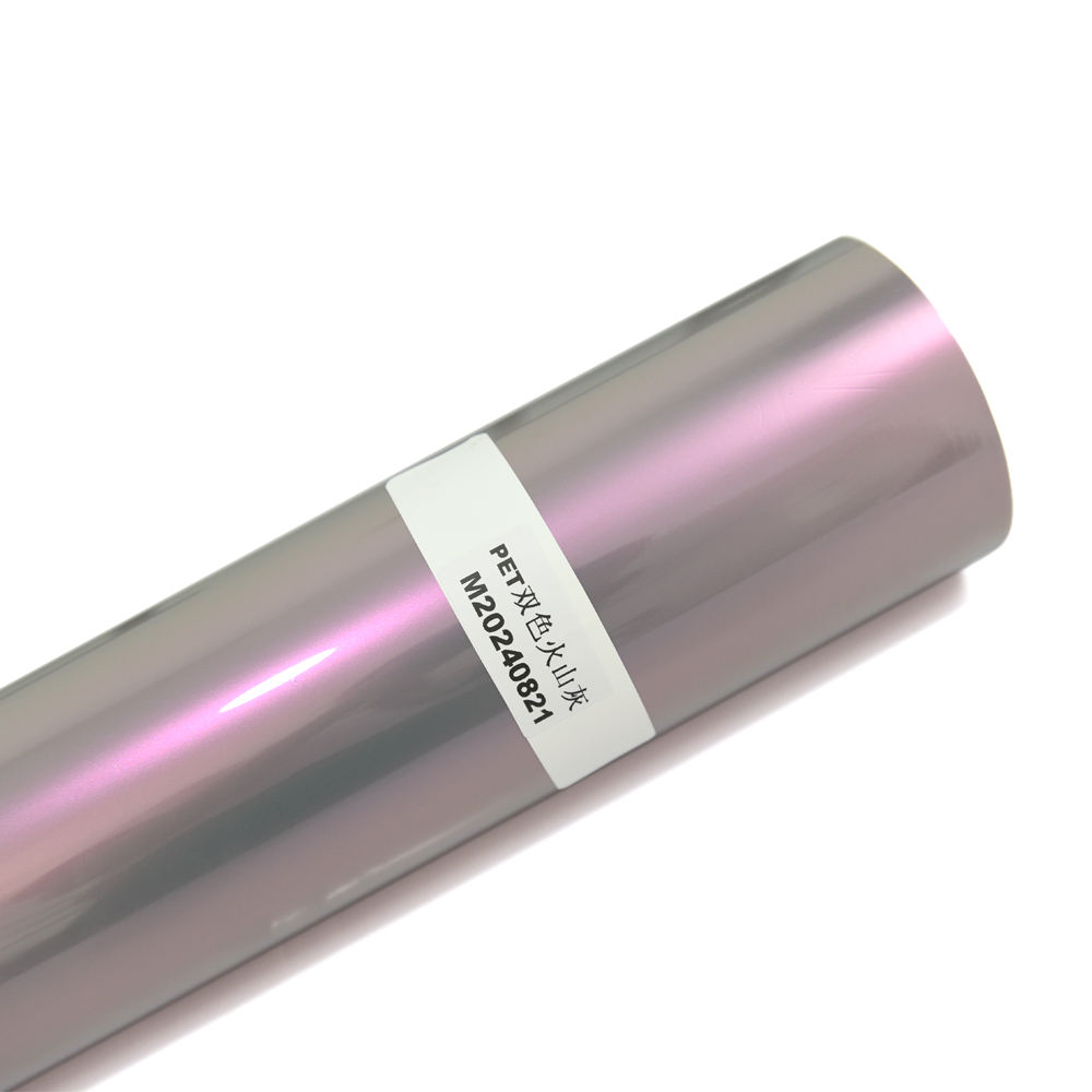 Caméléon Gris Rouge