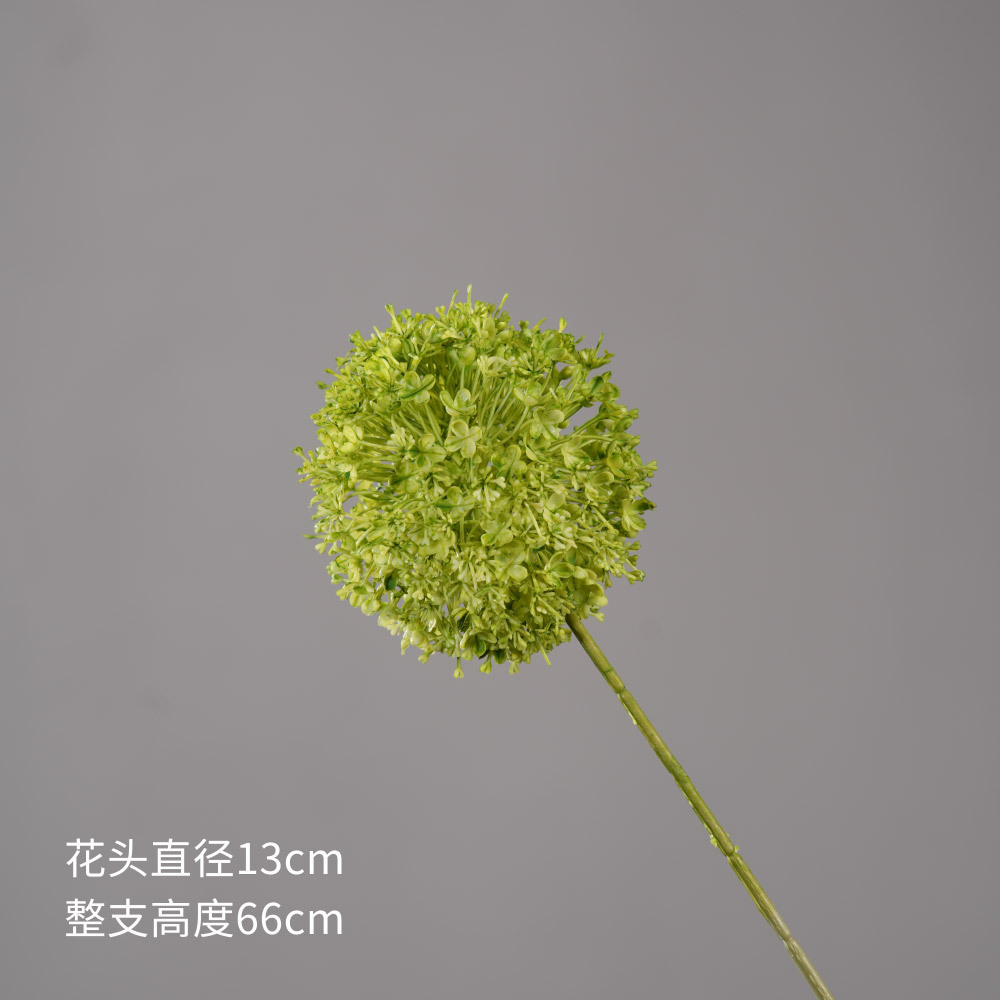 Bulbe d'oignon vert unique