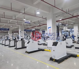 Palettizzatore automatico a palettizzatore Robot scatola scatola pallettizer macchina pinza automatica braccio Robot palettizzazione sistema - Product Image 6