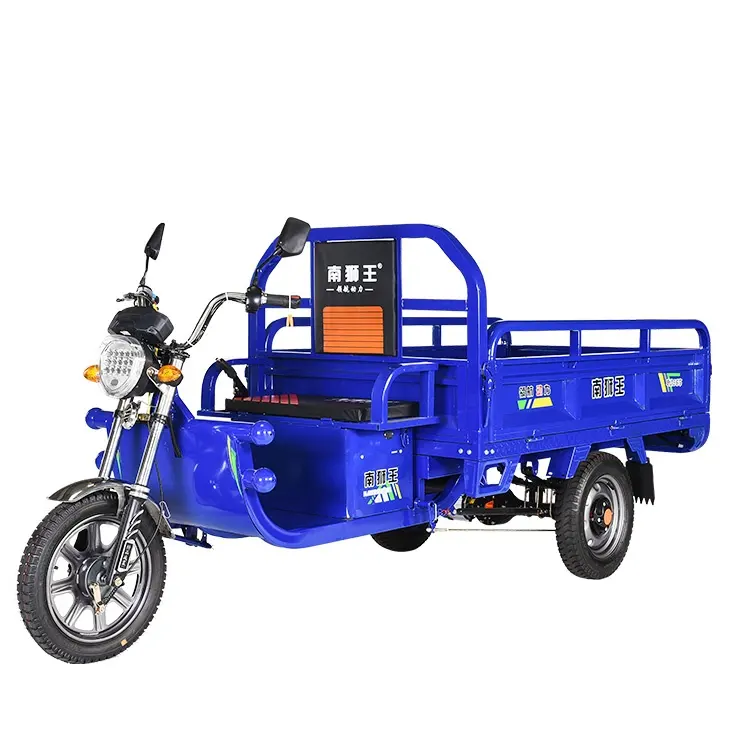Neues Design Unterschied liche Größe 800w 1000w 3 Rad Motorrad Trike Adult Elektro Dreirad zum Transport von Fracht