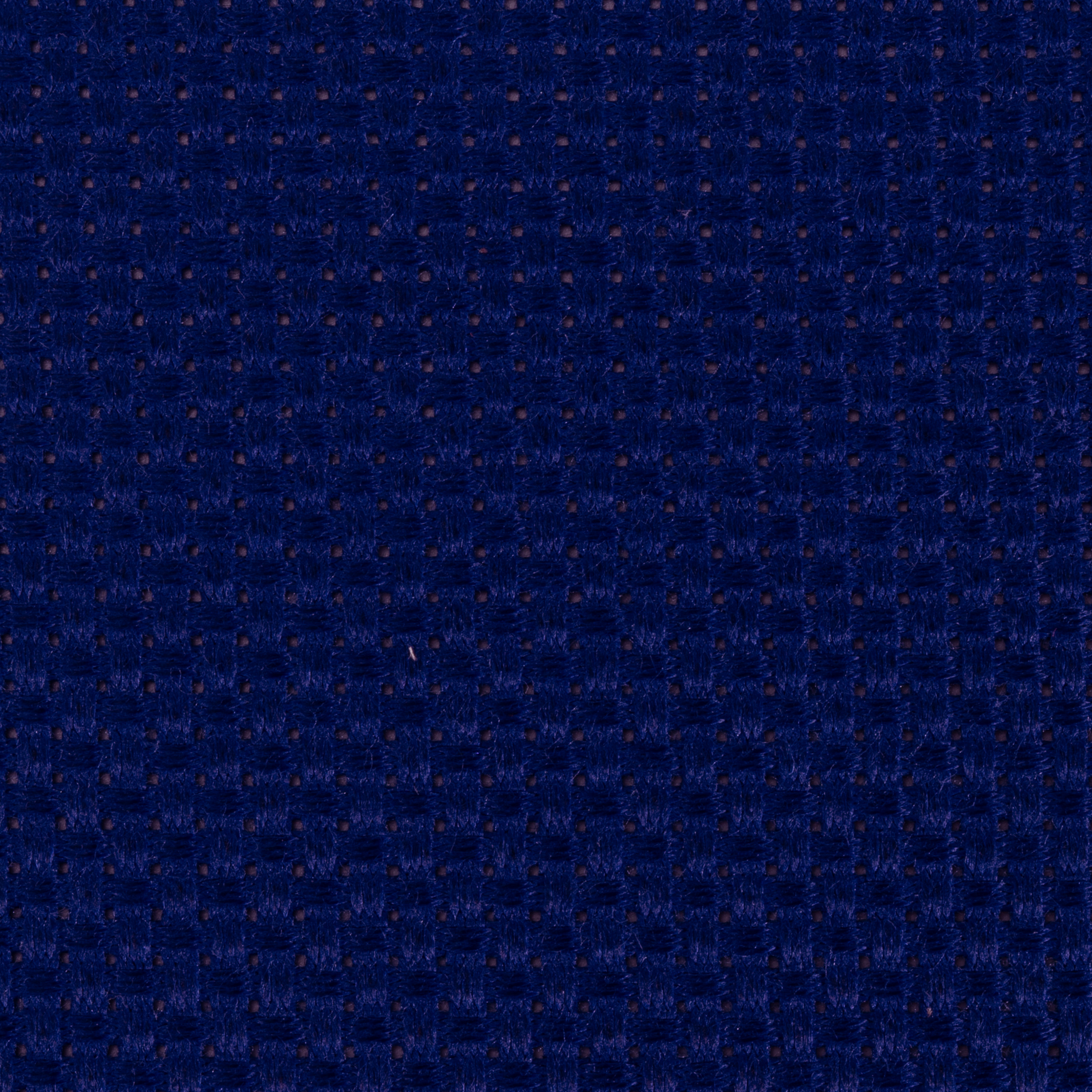 11CT-bleu roi