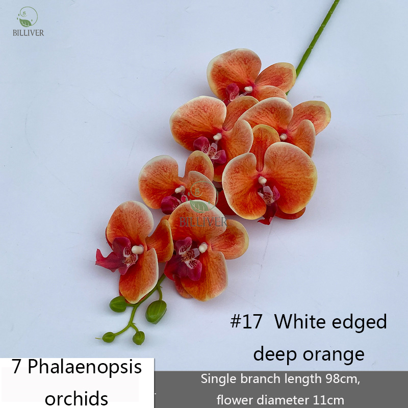 7-Head # 17 White Edge Deep Orange
