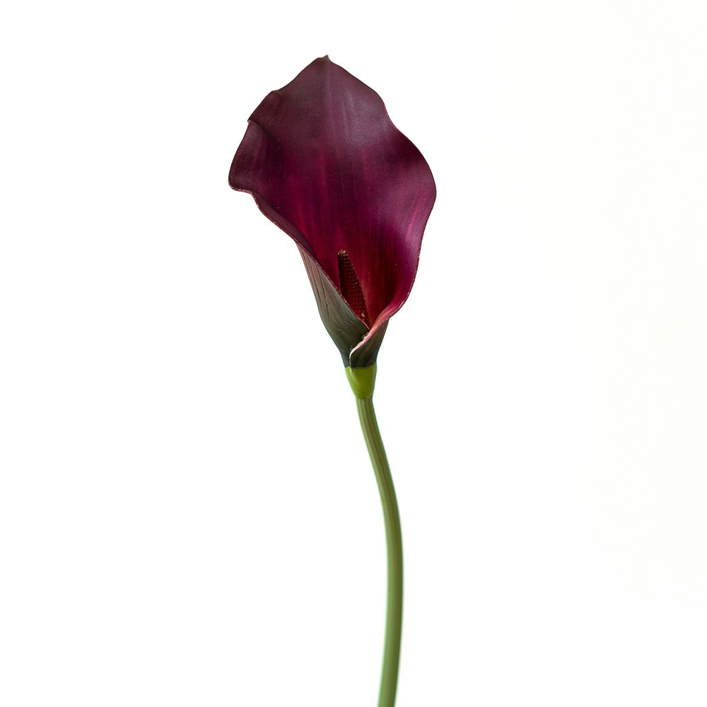 2# violet foncé