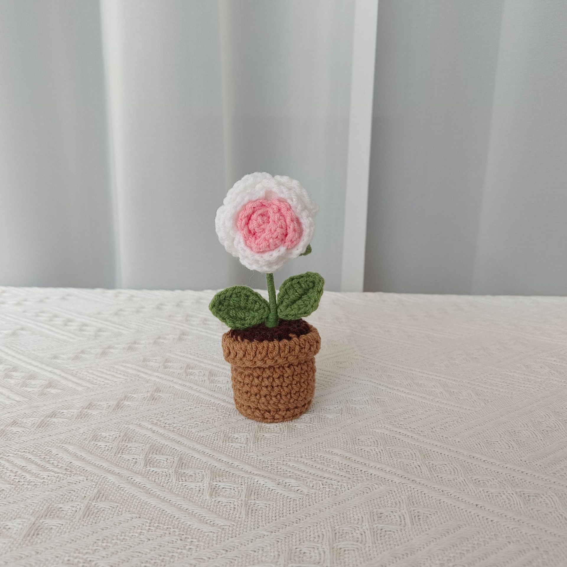 White A gradient rose potted plant