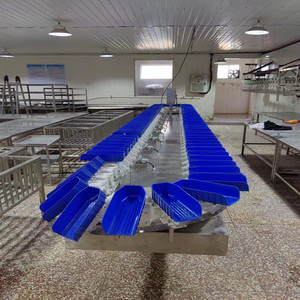 Precision <strong>Sorting</strong> <strong>and</strong> Efficient Packaging Automation for Fruits <strong>and</strong> Vegetables-Automatic Weighing <strong>and</strong> <strong>Sorting</strong> <strong>Machine</strong> - Product Image 3