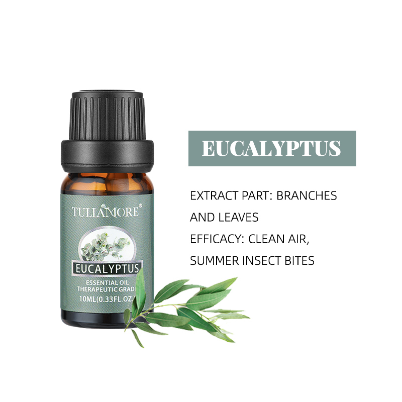 01#-Eucalyptus