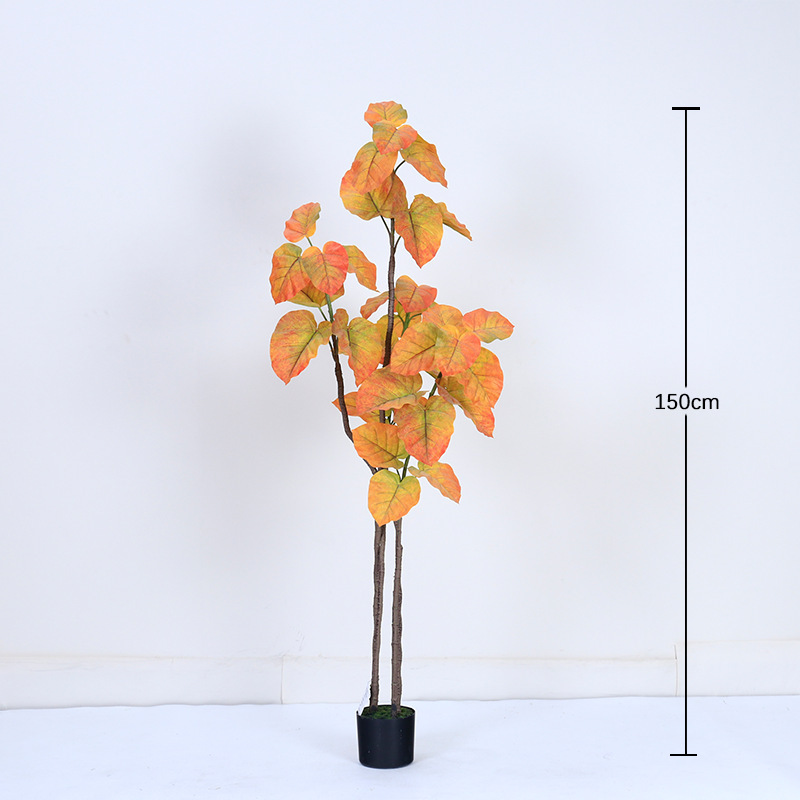 150cm