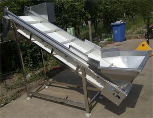 自动连续果蔬气泡清洗机分选机蔬菜加工机 - Product Image 1