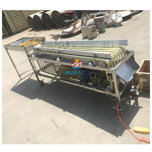 Macchina di smistamento delle Olive ad alta efficienza datteri frutta dimensione di selezione della macchina con l'alta qualità - Product Image 3