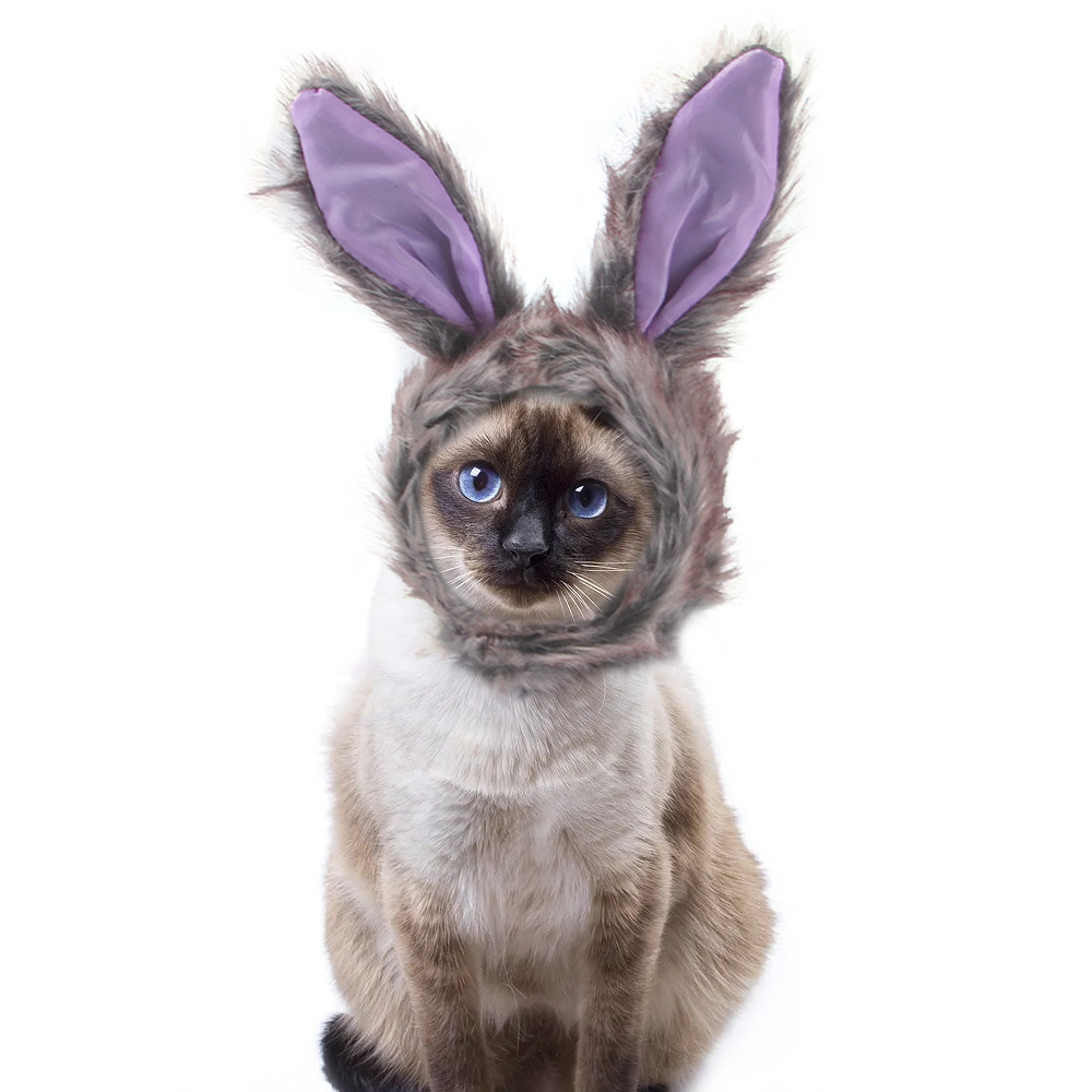 B04413 lapin gris