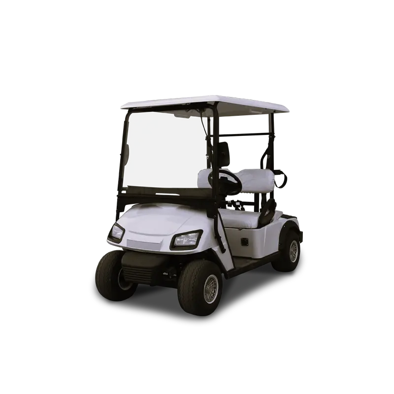 Prezzi di fabbrica della batteria al litio a 2 posti personalizzati carrello Buggy dimensione intelligente velocità Golf Car elettrica