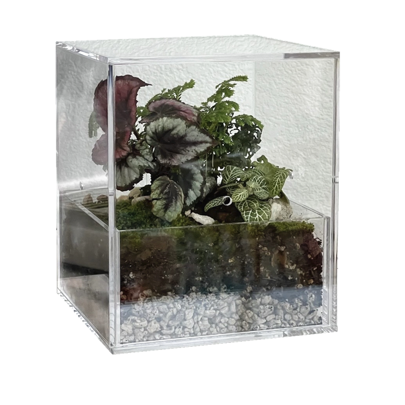 กำหนดเอง