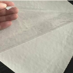 Kore pazarı için Modern kedi halı yıkanabilir kaymaz kumaş Mat yastıklı ve şık