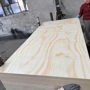 Grosir harga terbaik kemasan kelas kayu lapis shutter kayu lapis 12mm untuk kayu lapis komersial - Product Image 1
