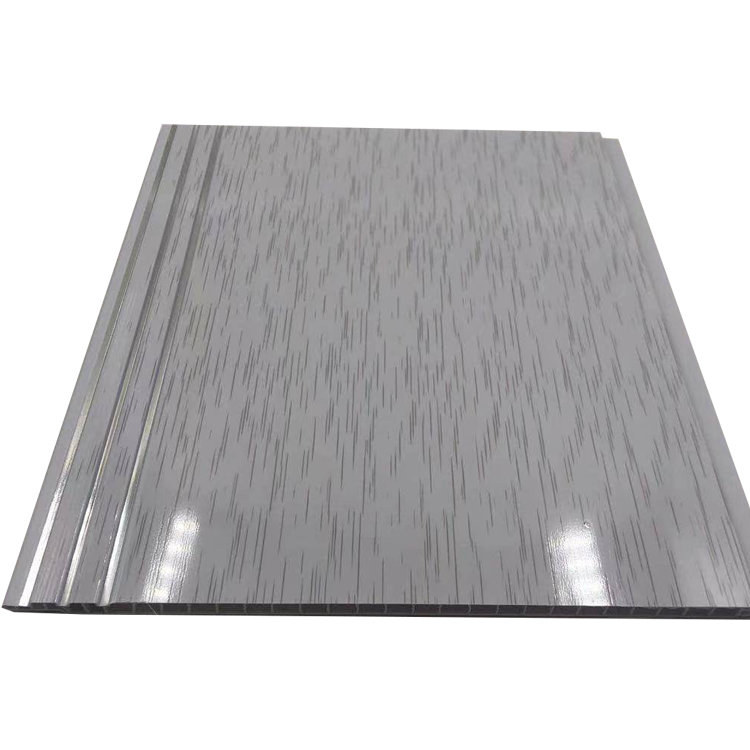 Ceiling Panels
