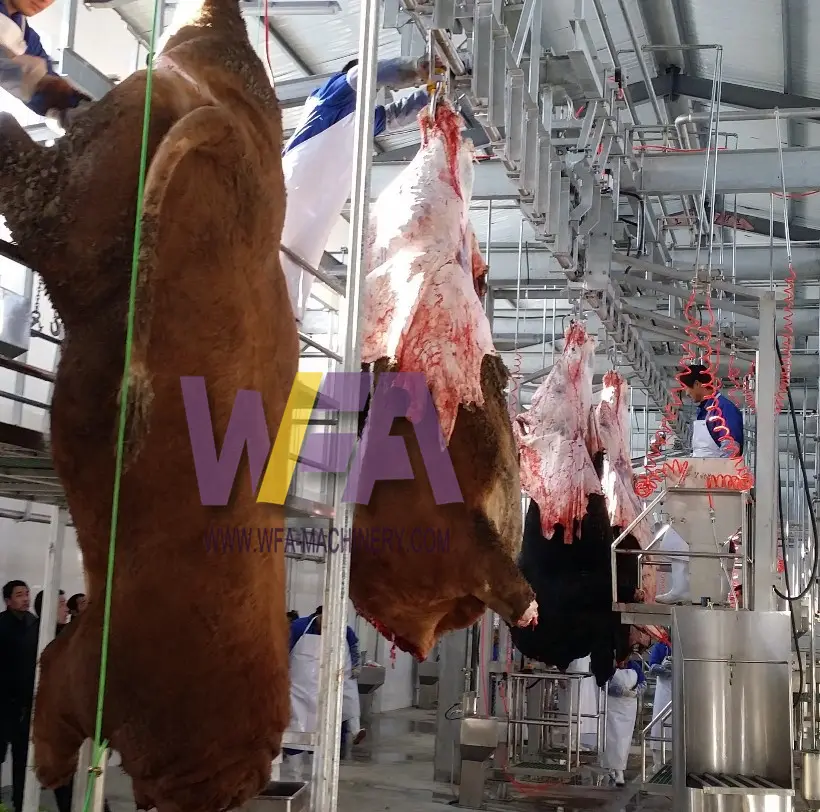 Halal Cattle Meat Processing Machinery Beef Slaughter House Equipment For Cow Cutting Butcher Abattoir Plant Machine