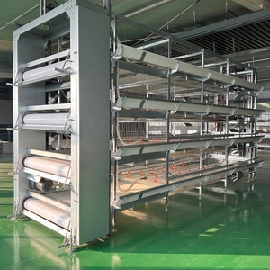 Ucuz fiyat otomatik kuş hasat pil kafes H tipi Broiler tavuk kafesleri satılık - Product Image 2