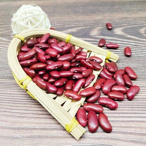 Premium Nutritious Red <strong>Kidney</strong> Beans High Protein and Low Fat Non-GMO Fresh From <strong>India</strong> Bulk Packed - Product Image 4