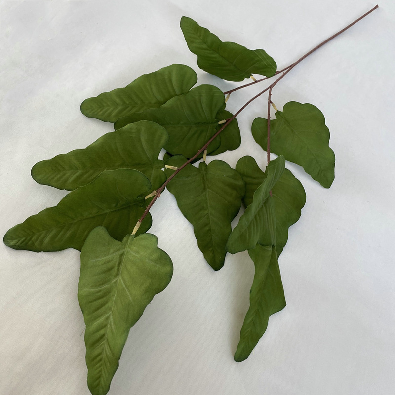 5# Feuille de fer à cheval verte