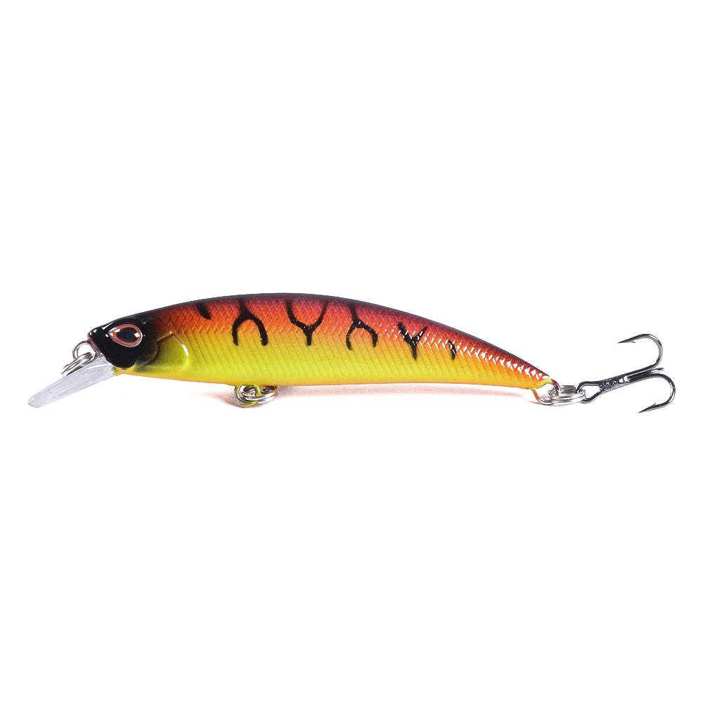 Minnow-013-10