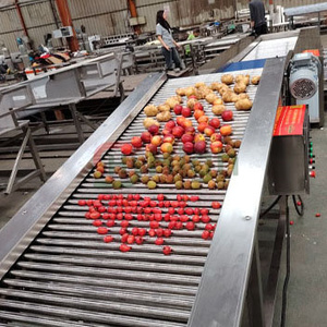 Clasificador de tipo rodillo completamente automático, máquina clasificadora de diámetro multinivel, clasificación de peso, patata, zanahoria, cebolla, manzana, verdura - Product Image 1