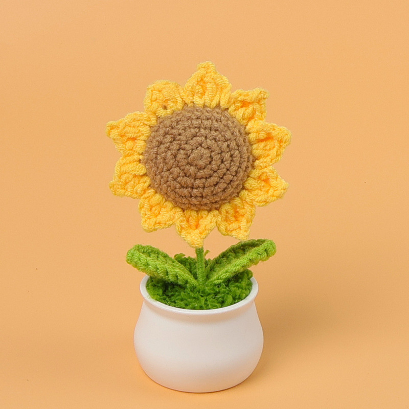 Tournesol à feuilles pointues en pot - 8 pétales - 5 spirales