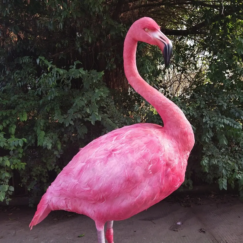 Patung Flamingo Simulasi Tinggi Produk Hewan Animatronik Taman Hiburan Dalam Ruangan dengan Kepala dan Cakar Cetak 3D