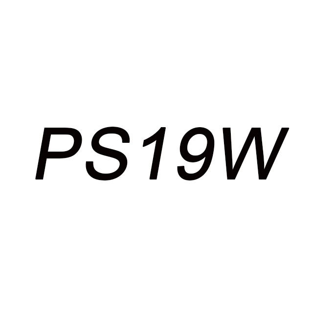 P19